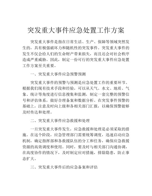 突发重大事件应急处置工作方案