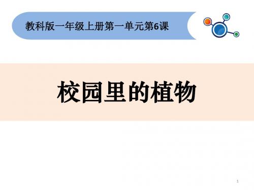 【精选】一年级上册科学课件-1.6校园里的植物(9) l 教科版 (共16张PPT)