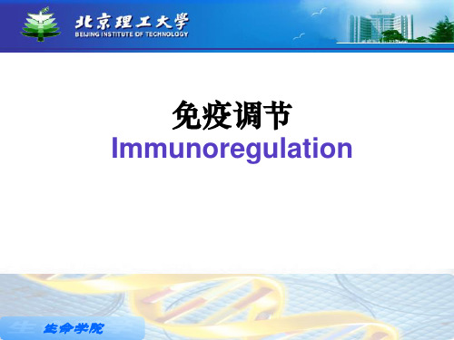 免疫学课件 第16章  免疫调节