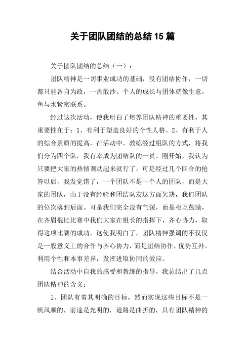 关于团队团结的总结15篇