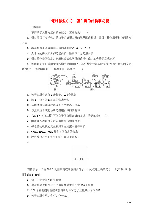 高三生物一轮复习 课时作业2 蛋白质的结构和功能 苏教版