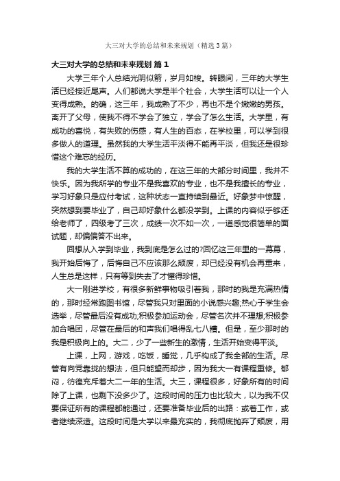 大三对大学的总结和未来规划（精选3篇）