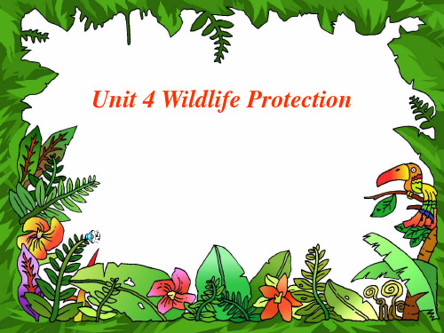 人教版高中英语 必修二 Unit4 《Wildlife  protection  ---Readin