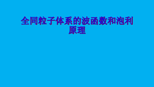 高二物理竞赛课件：量子力学之全同粒子体系的波函数和泡利原理