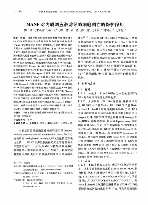 MANF对内质网应激诱导的细胞凋亡的保护作用