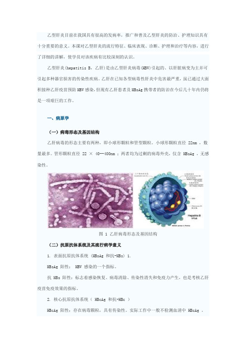 乙型肝炎目前在我国具有很高的发病率解析