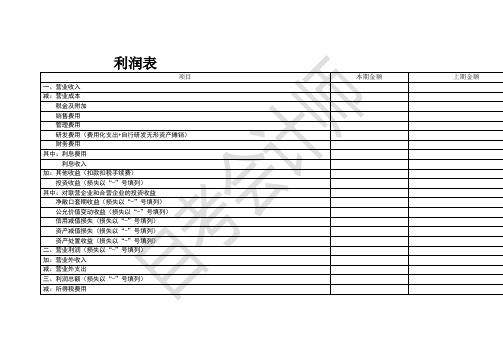 利润表(上市公司)