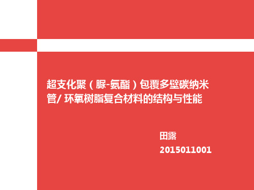 碳纳米材料的表面修饰