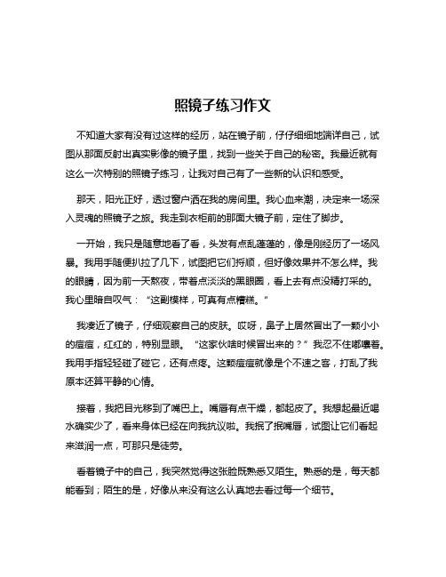 照镜子练习作文