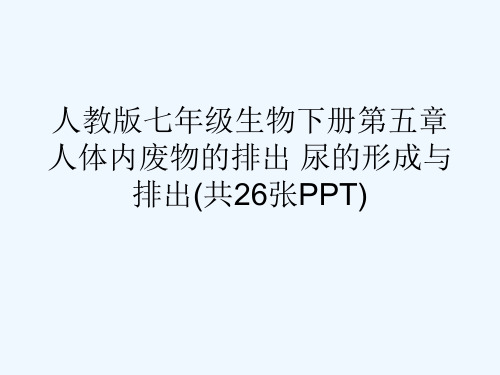 人教版七级生物下册第五章    人体内废物的排出 尿的形成与排出(共26张PPT)[可修改版ppt]