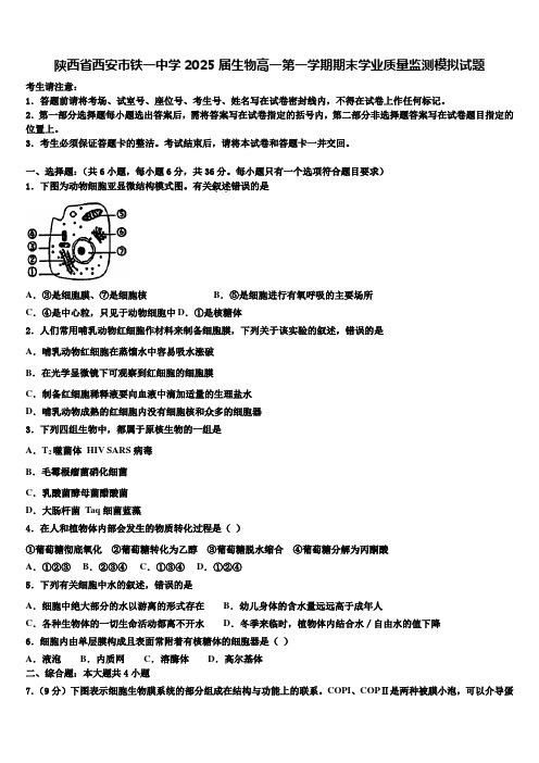 陕西省西安市铁一中学2025届生物高一第一学期期末学业质量监测模拟试题含解析