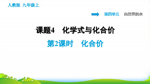 人教版九年级化学4.4.2 化合价 习题课件(30张PPT)