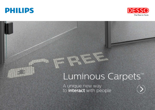 Philips和Desso Luminous Carpets说明书