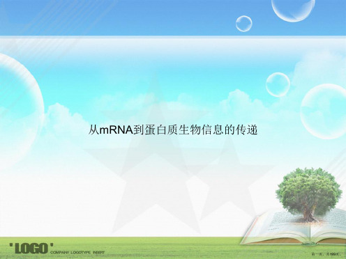 从mRNA到蛋白质生物信息的传递讲课文档