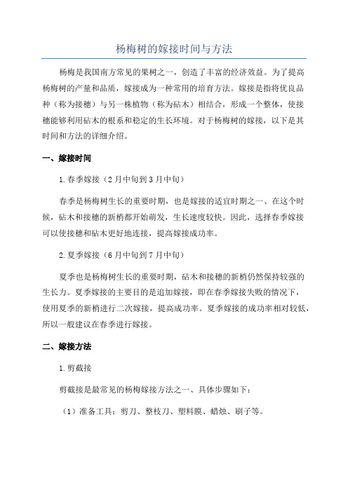 杨梅树的嫁接时间与方法