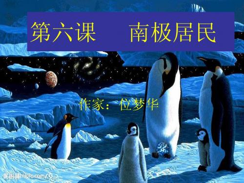 南极居民