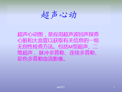 超声心动  ppt课件