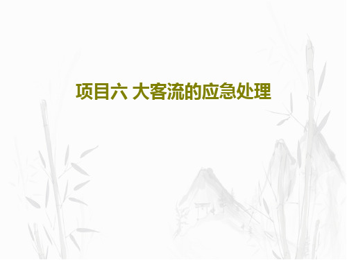 项目六 大客流的应急处理共23页文档