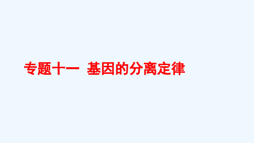 2022版高考生物一轮复习第五单元基因的传递规律专题十一基因的分离定律课件