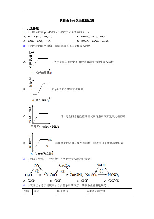 洛阳市中考化学模拟试题