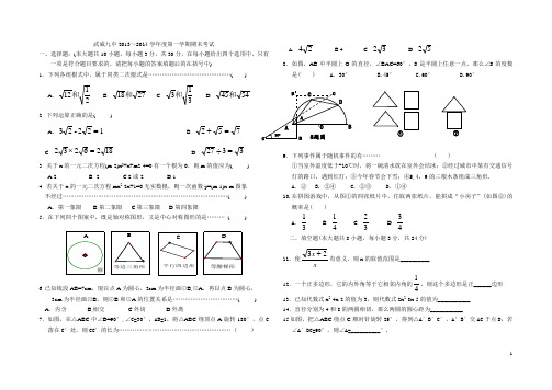 甘肃省武威九中2014届九年级上学期期末数学试题