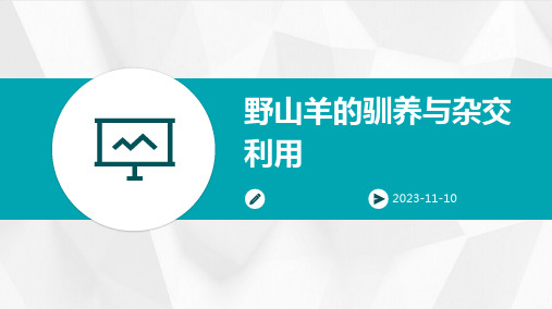 野山羊的驯养与杂交利用