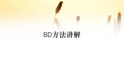 8D方法讲解(收藏)