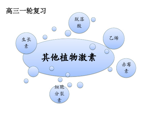 北京市西城区重点中学2019届高三生物高考一轮复习课 植物的激素调节- 其他植物激素  课件(共18张PPT)