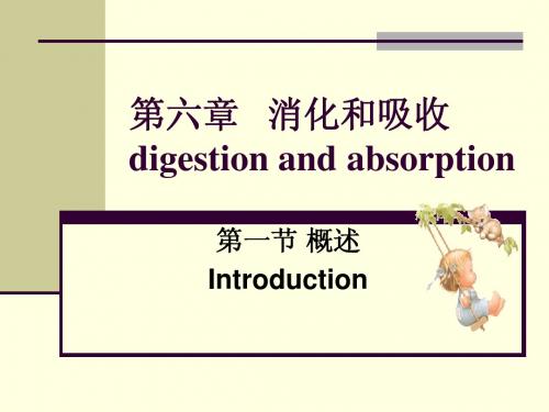 生理学第六章 消化和吸收
