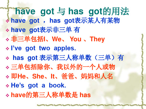 have--got-与-has--got用法