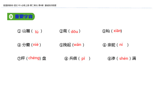 【人教版高中语文必修1】精品PPT课件： 基础知识梳理 (共12张)