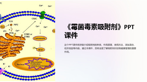 《霉菌毒素吸附剂》课件