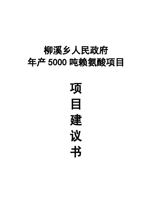 年产5000吨赖氨酸可行性研究报告