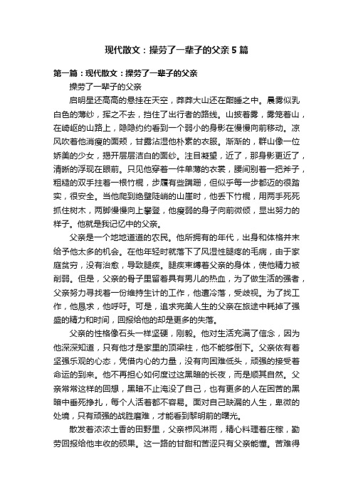 现代散文：操劳了一辈子的父亲5篇