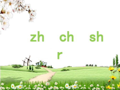 【精】一年级上册语文课件-汉语拼音8《zh ch sh r》 人教部编版 (共19张PPT)