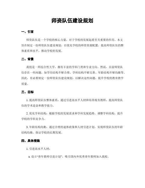 师资队伍建设规划