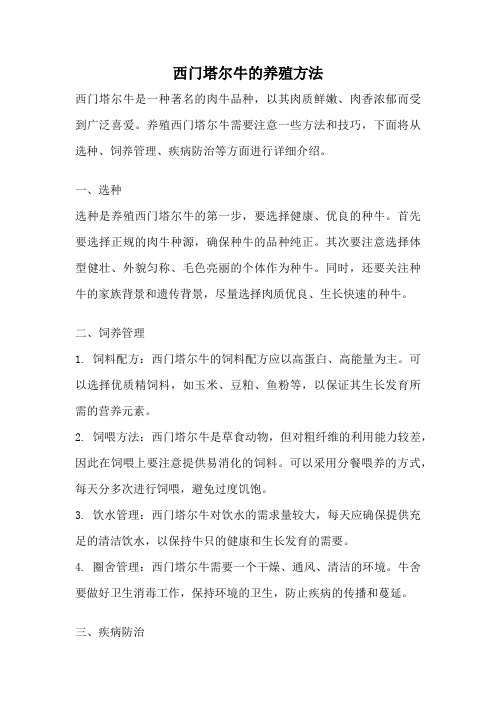 西门塔尔牛的养殖方法