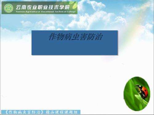 谈植物病虫害综合治理(ppt 34页)