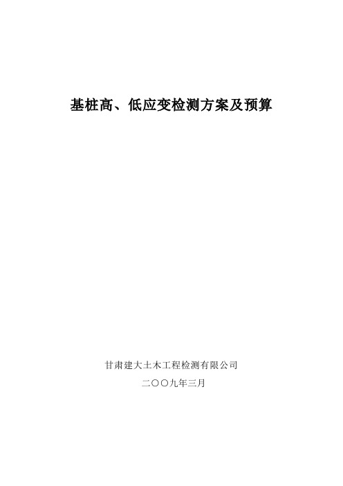 高、低应变方案及预算