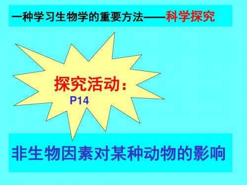 生物对环境的影响(2)探究实验  人教版