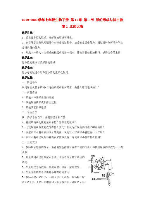 2019-2020学年七年级生物下册 第11章 第二节 尿的形成与排出教案1 北师大版.doc