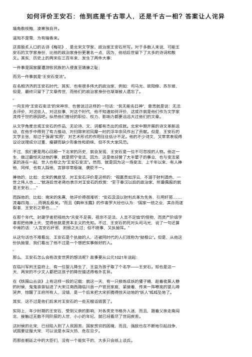 如何评价王安石：他到底是千古罪人，还是千古一相？答案让人诧异