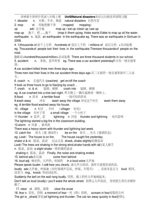 译林版牛津初中英语八年级上册Unit8Naturaldisasters知识点归纳及巩固练习题、参考答案