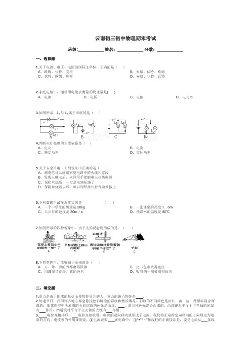 云南初三初中物理期末考试带答案解析