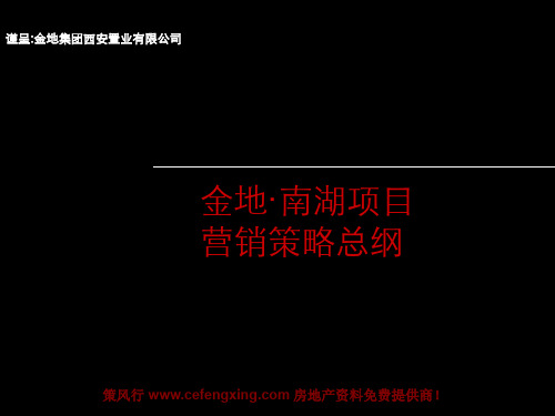 金地·南湖的项目营销的策略总纲2009107P精品文档