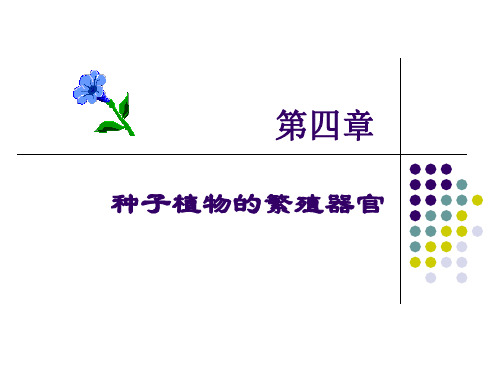 果实与种子植物学