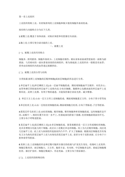 上皮组织复习资料