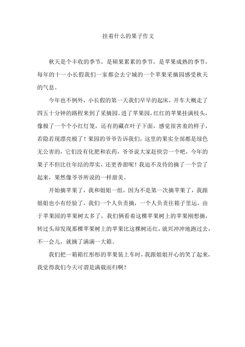 挂着什么的果子作文