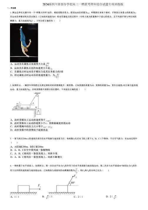 2024届四川省部分学校高三一模联考理科综合试题专项训练版