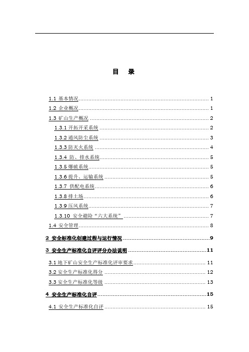 金属非金属矿山地下矿山安全生产标准化自评报告